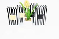 Rectangular Magnetic Closure Eyelash Packaging Box Black And White Striped Foldable Cardboard Gift Packaging Box